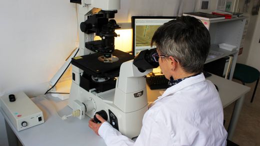UIT_Labor_Mikrobiologie_4.jpg