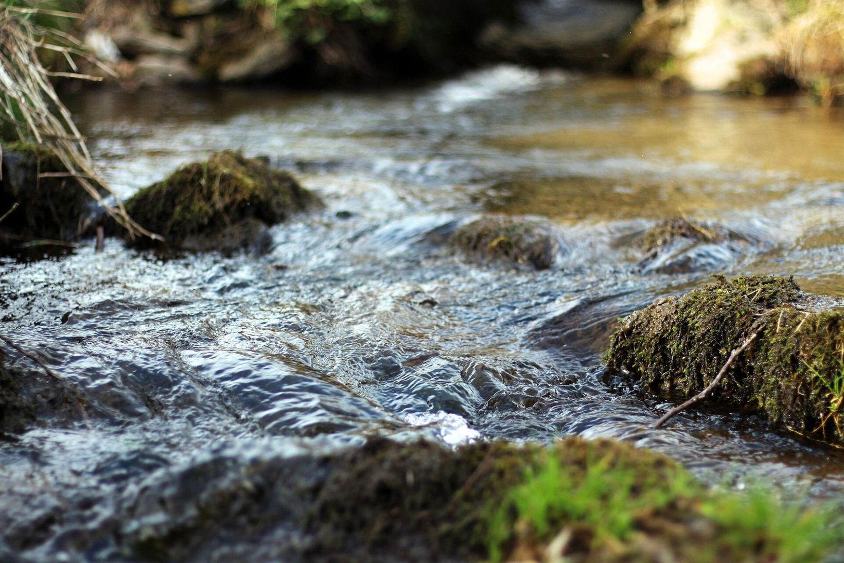 PFAS_Wasser_4.jpg
