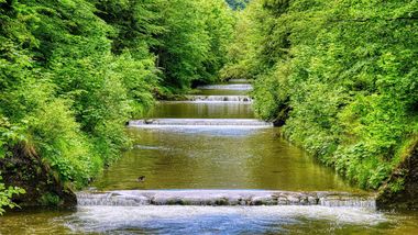 PFAS_Wasser_1.jpg