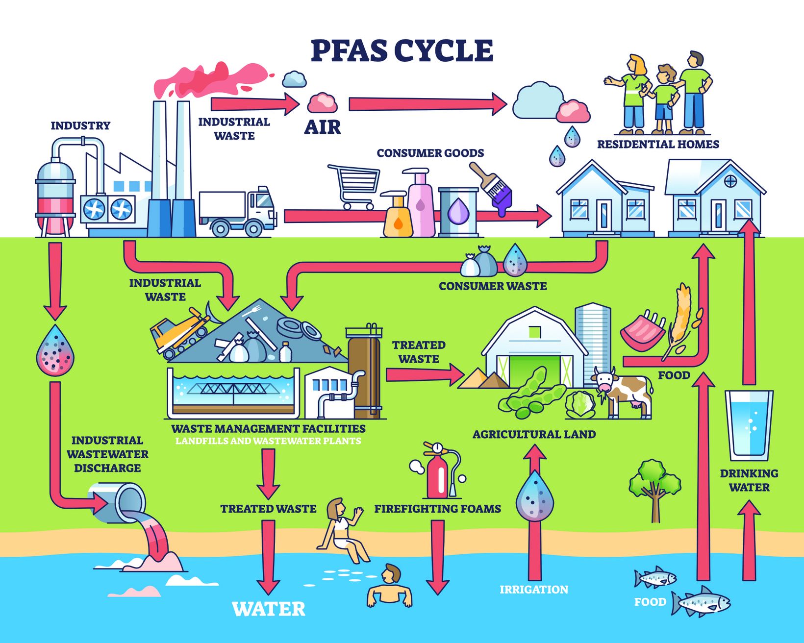 PFAS_Kreislauf.jpg